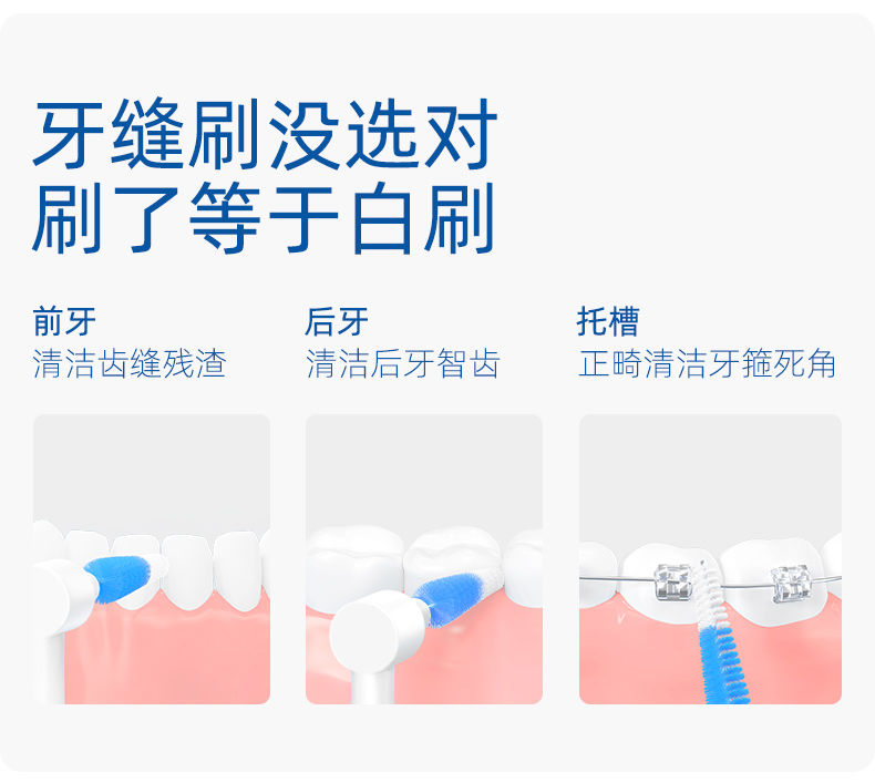 新护龙-L型牙缝刷-10支 (2).jpg